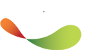 사랑의손
